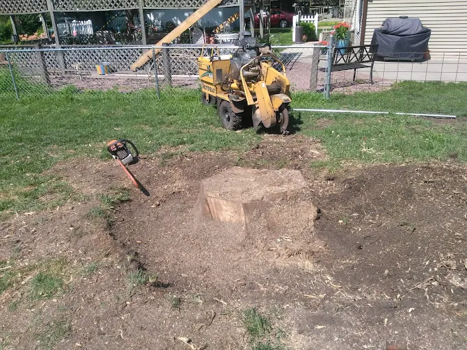 Danny Beckman professional stump removal work